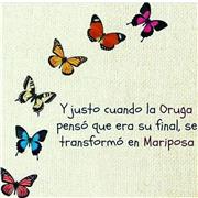 Trabajo de verano- profesor/a Biología